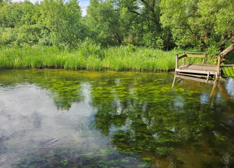 Parduodamas namas Fedariškių k., Švenčionių r. sav., 50 m² ploto 2 kambariai Parduodamas namas Fedariškių k., Švenčionių r. sav., 50 m² ploto 2 kambariai