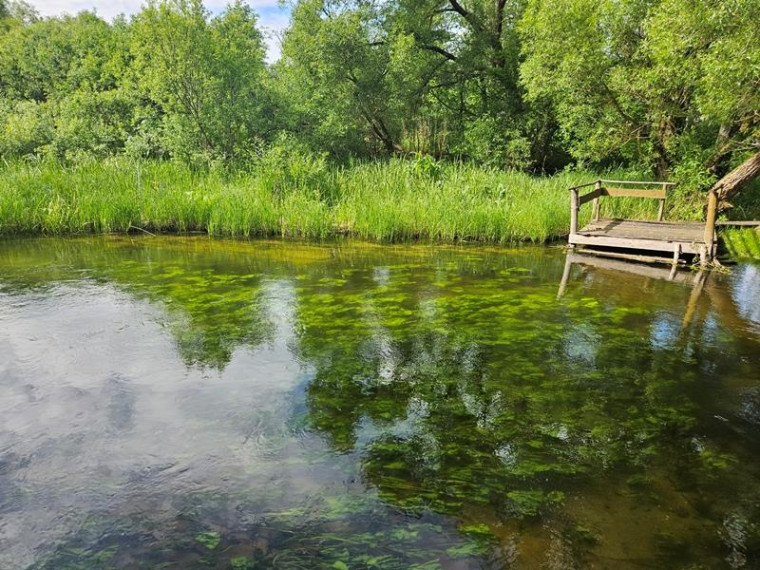 Parduodamas namas Fedariškių k., Švenčionių r. sav., 50 m² ploto 2 kambariai 1