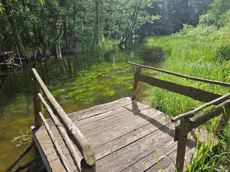 Parduodamas namas Fedariškių k., Švenčionių r. sav., 50 m² ploto 2 kambariai 17