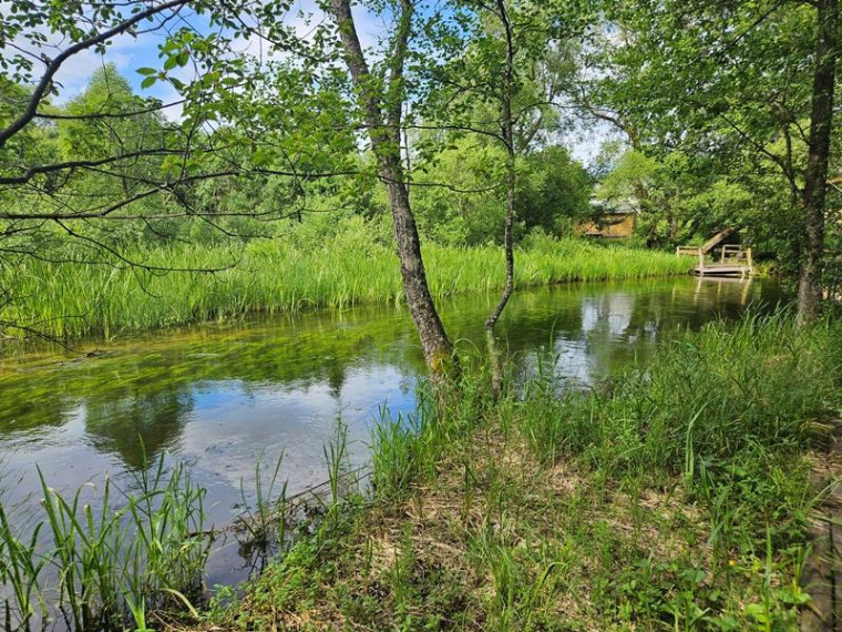 Parduodamas namas Fedariškių k., Švenčionių r. sav., 50 m² ploto 2 kambariai 18