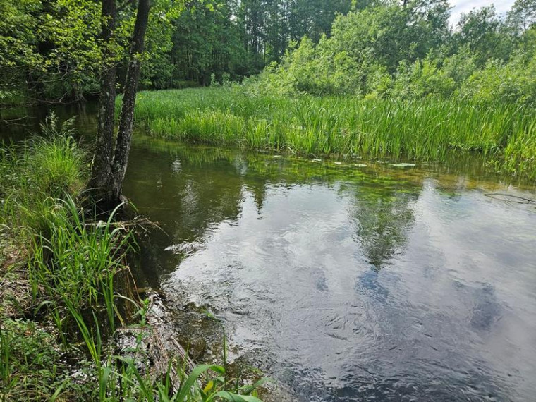 Parduodamas namas Fedariškių k., Švenčionių r. sav., 50 m² ploto 2 kambariai 19