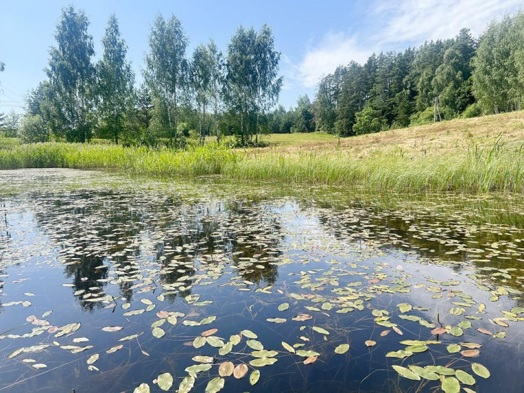 Parduodamas sklypas Degučių k., Zarasų r. sav., 23.94 a ploto 15