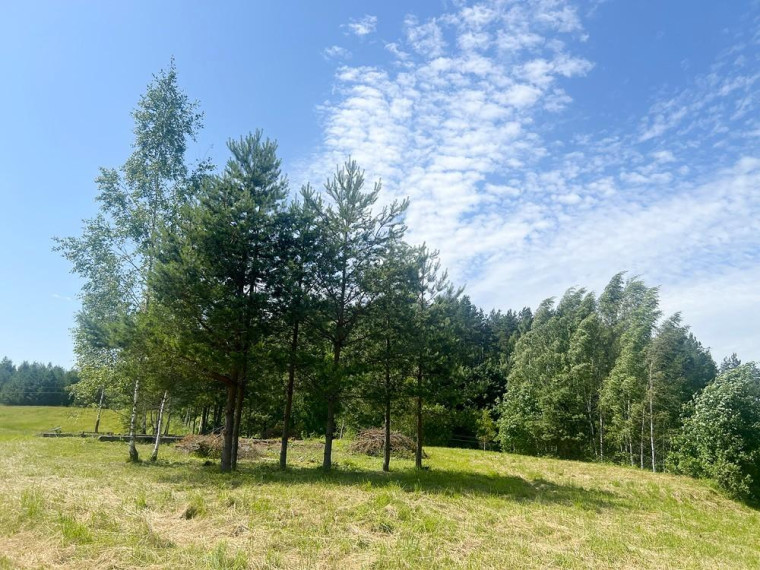 Parduodamas sklypas Degučių k., Zarasų r. sav., 23.94 a ploto 18