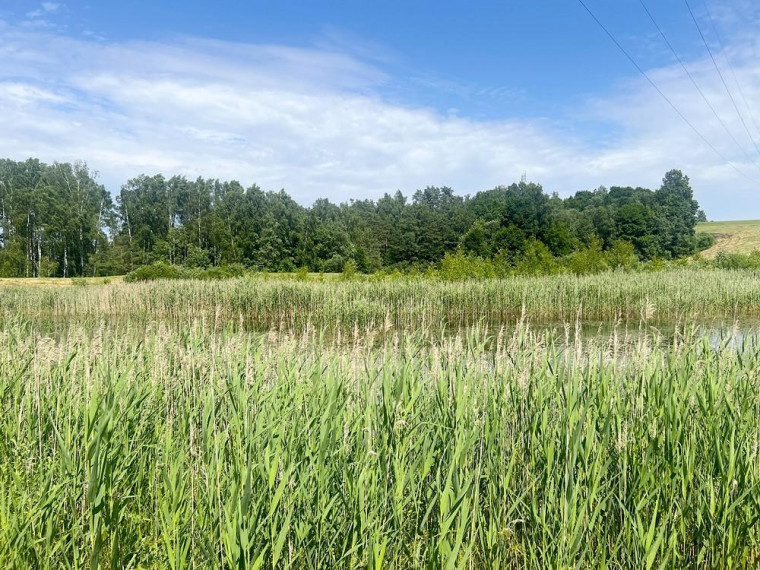 Parduodamas sklypas Degučių k., Zarasų r. sav., 23.94 a ploto 23