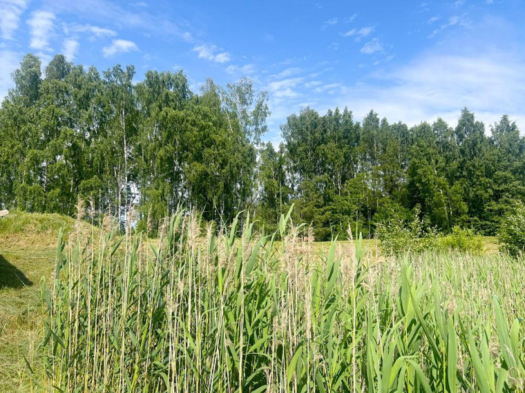 Parduodamas sklypas Degučių k., Zarasų r. sav., 23.94 a ploto 24