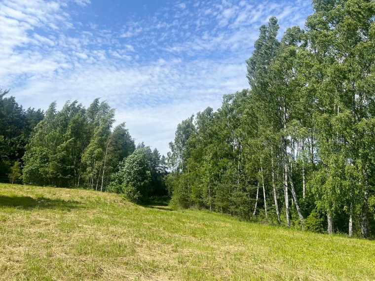 Parduodamas sklypas Degučių k., Zarasų r. sav., 23.94 a ploto 25
