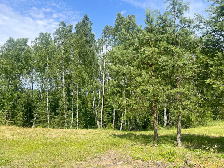 Parduodamas sklypas Degučių k., Zarasų r. sav., 23.94 a ploto 26