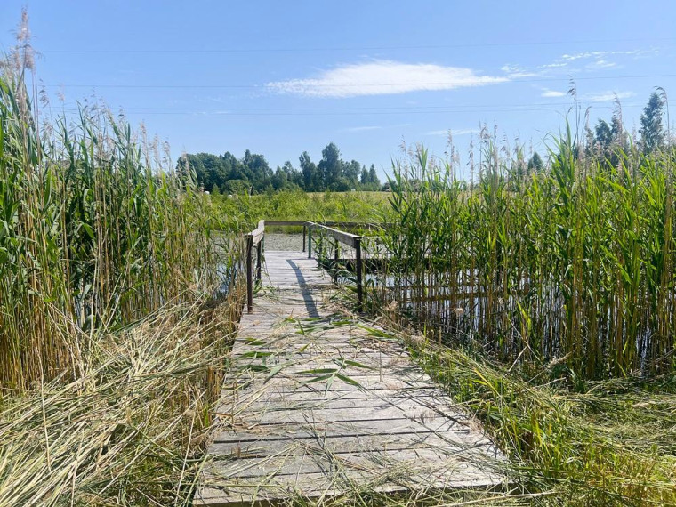 Parduodamas sklypas Degučių k., Zarasų r. sav., 23.94 a ploto 10