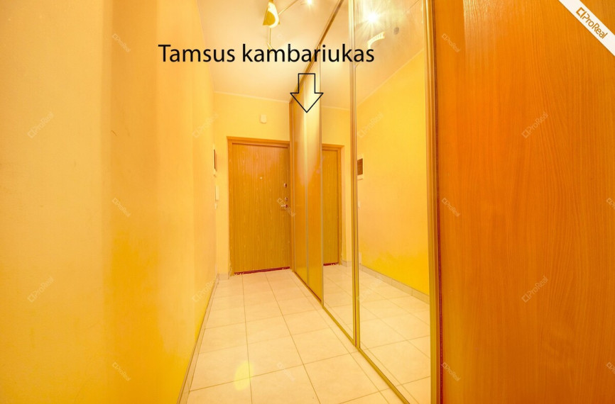 Nuomojamas butas Kaminkelio g., Vilniaus m., Vilniaus m. sav., 36 m2 ploto, 1 kambariai 6