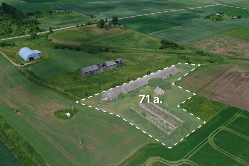Parduodamos gamybinės, kitos paskirties, sandėliavimo patalpos Draugystės g., Žibintų k., Jurbarko r. sav., 2320.03 m2 ploto 7