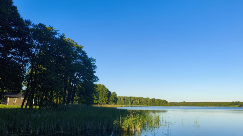 Parduodamas namas Paveisiejų g., Paveisiejų k., Lazdijų r. sav., 80.00 m² ploto 3 kambariai 8