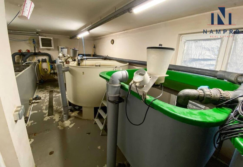 Prienų rajone, Čiudiškių k. parduodamos patalpos, kuriose vykdomas šamų auginimo verslas 8