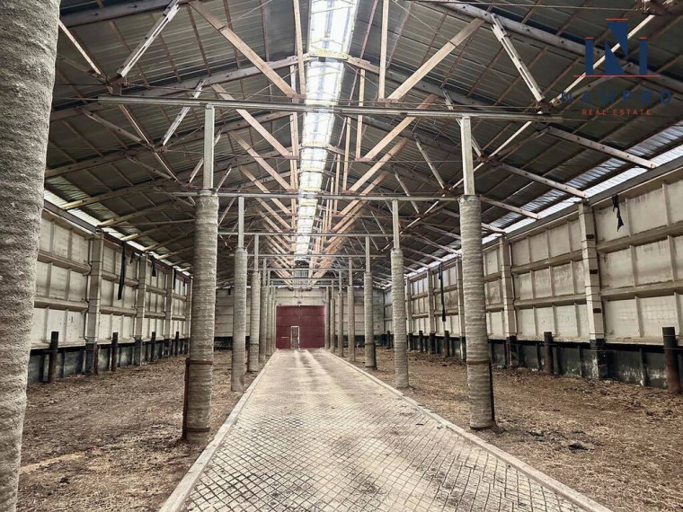 Kėdainių rajone, šalia Akademijos, Žemaičių k., parduodamas 15700 kv.m. gyvulininkystės kompleksas 5