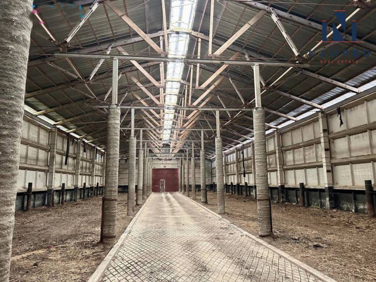 Kėdainių rajone, šalia Akademijos, Žemaičių k., parduodamas 15700 kv.m. gyvulininkystės kompleksas 11