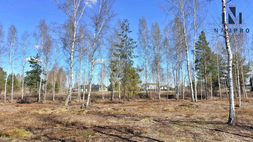Vilniaus rajone, Raisteniškėse, parduodamas 2 ha sklypų masyvas namų statybai 4