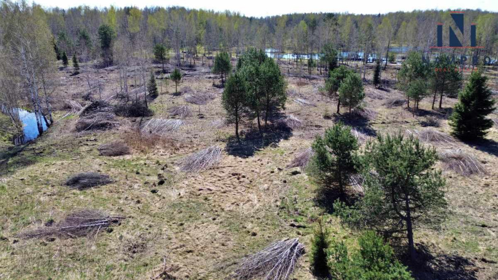 Vilniaus rajone, Raisteniškėse, parduodamas 2 ha sklypų masyvas namų statybai 7