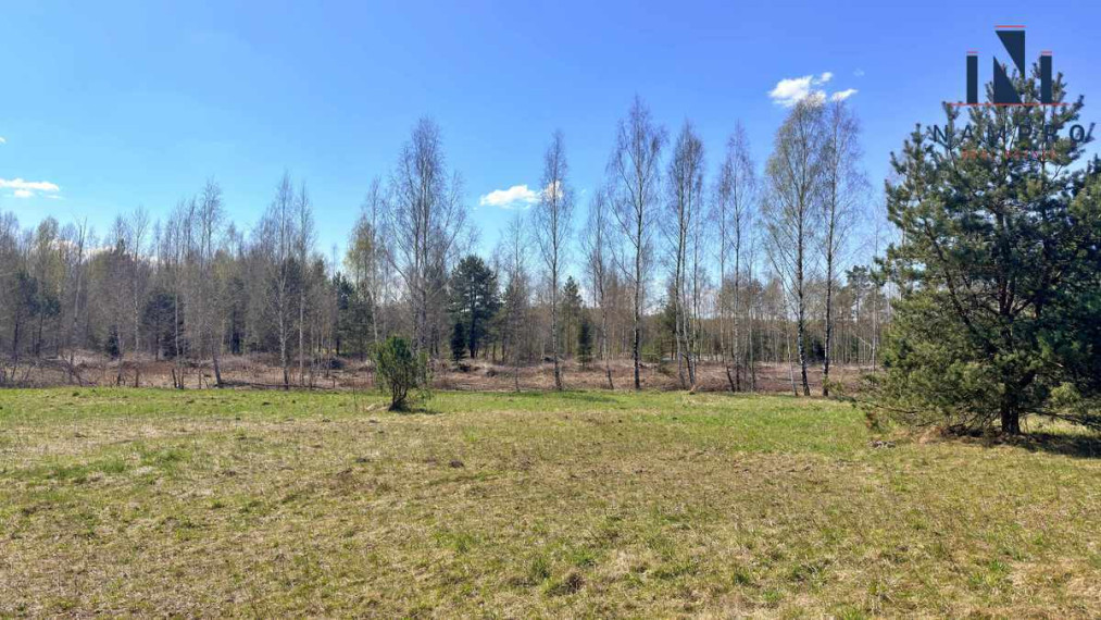 Vilniaus rajone, Raisteniškėse, parduodamas 2 ha sklypų masyvas namų statybai 10