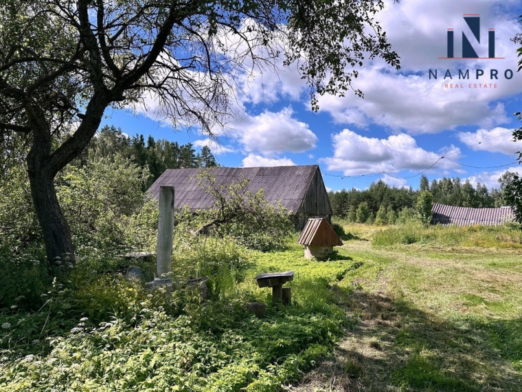 Rokiškio raj., Alsetos k., šalia Alsetos ež. parduodama 112.47 kv.m ploto sodyba 19
