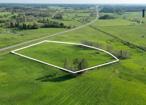 Molėtų raj., Mažeikių k., parduodamas 2,45 ha pramoninės-sandėliavimo paskirties sklypas Molėtų raj., Mažeikių k., parduodamas 2,45 ha pramoninės-sandėliavimo paskirties sklypas