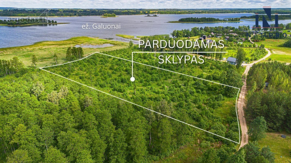 Molėtų raj., Liešiškių k., šalia Galuono ežero, parduodamas 1.632 a ploto sklypas 1