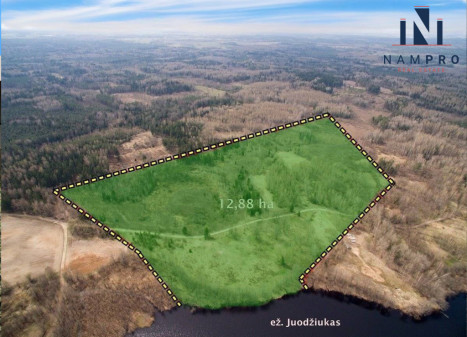 Trakų r., Petrauskų k., prie Juodžiuko ež., parduodamas 12.88 ha ploto sklypas Trakų r., Petrauskų k., prie Juodžiuko ež., parduodamas 12.88 ha ploto sklypas