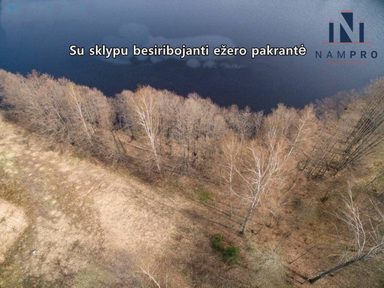 Trakų r., Petrauskų k., prie Juodžiuko ež., parduodamas 12.88 ha ploto sklypas 6