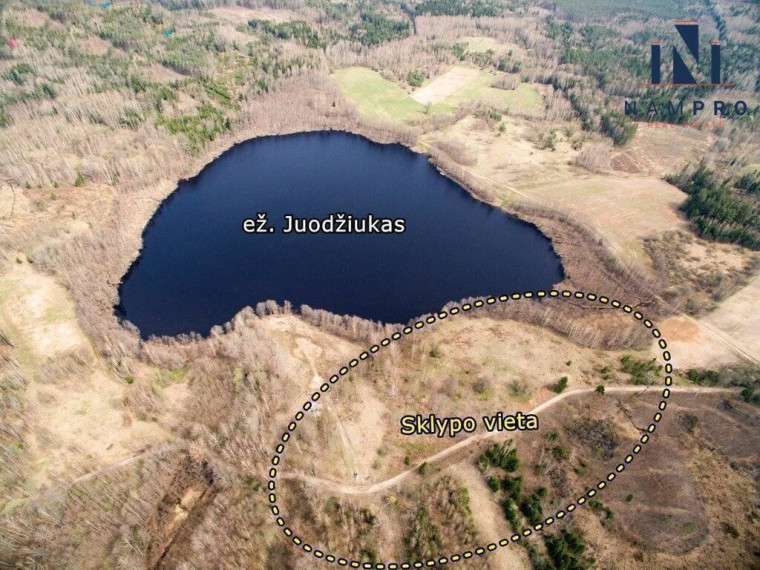 Trakų r., Petrauskų k., prie Juodžiuko ež., parduodamas 12.88 ha ploto sklypas 8