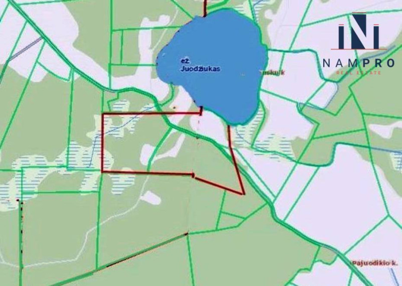 Trakų r., Petrauskų k., prie Juodžiuko ež., parduodamas 12.88 ha ploto sklypas 10