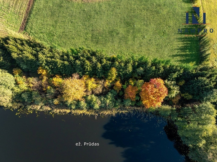 Ignalinos raj., Maksiūnų kaime, prie Prūdo ežero, parduodama 1/2 (1,75 ha) iš 3,5 ha sklypo dalis 14
