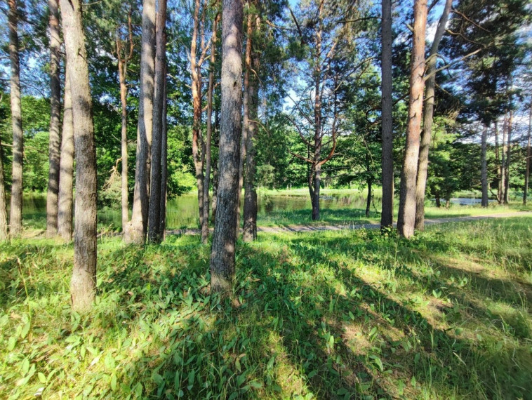 Parduodamas butas Gardino g., Druskininkų m., Druskininkų sav., 32.98 m2 ploto, 2 kambariai 17