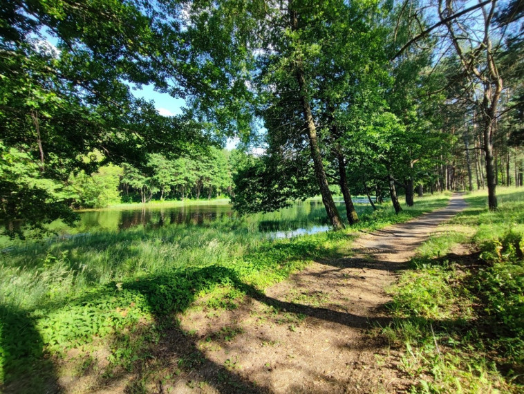 Parduodamas butas Gardino g., Druskininkų m., Druskininkų sav., 32.98 m2 ploto, 2 kambariai 18