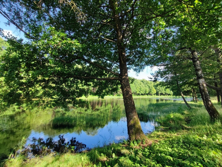 Parduodamas butas Gardino g., Druskininkų m., Druskininkų sav., 32.98 m2 ploto, 2 kambariai 21