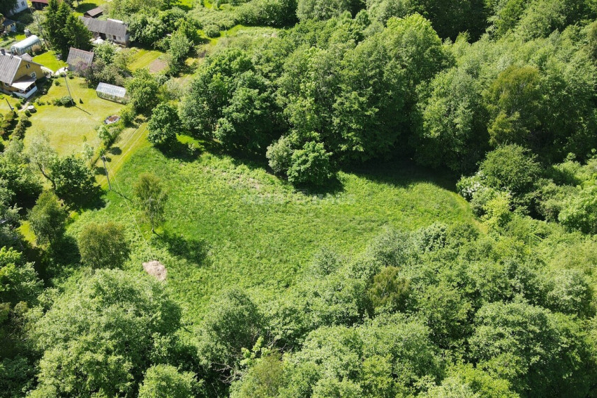 Parduodamas žemės ūkio paskirties sklypas Parko g., Zeigių k., Klaipėdos r. sav., 25 a ploto 3