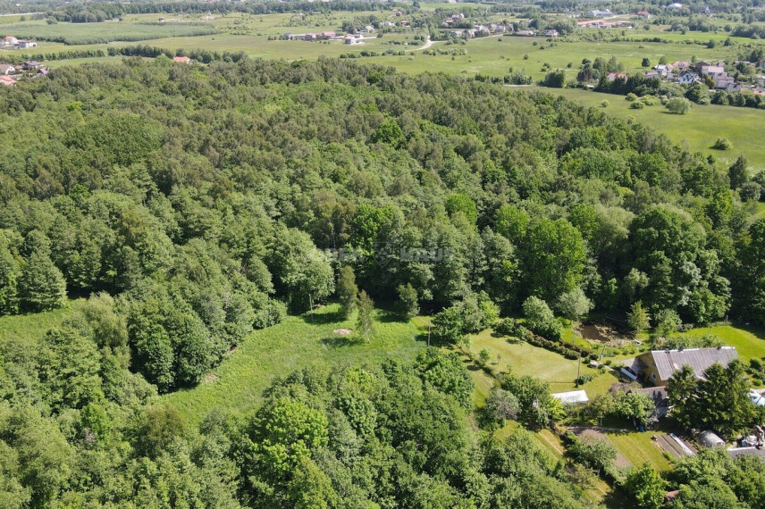 Parduodamas žemės ūkio paskirties sklypas Parko g., Zeigių k., Klaipėdos r. sav., 25 a ploto 13