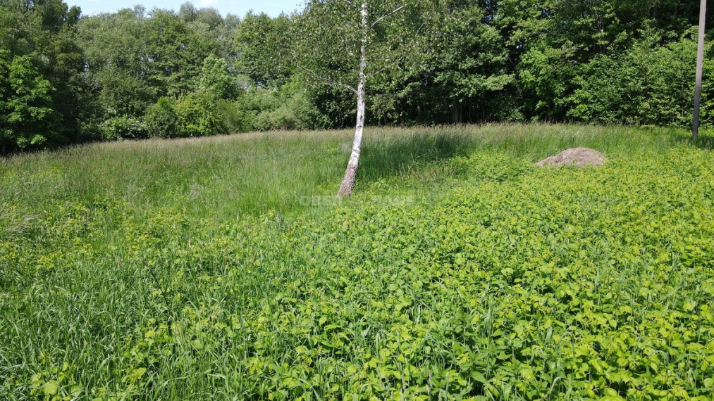 Parduodamas žemės ūkio paskirties sklypas Parko g., Zeigių k., Klaipėdos r. sav., 25 a ploto 18