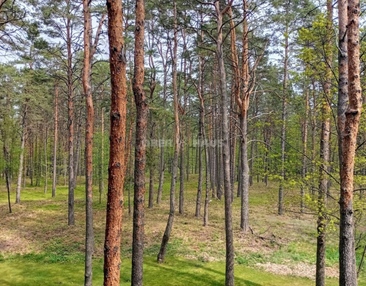 Parduodamas butas T. Kosciuškos g., Druskininkų m., Druskininkų sav., 57.3 m2 ploto, 3 kambariai 12