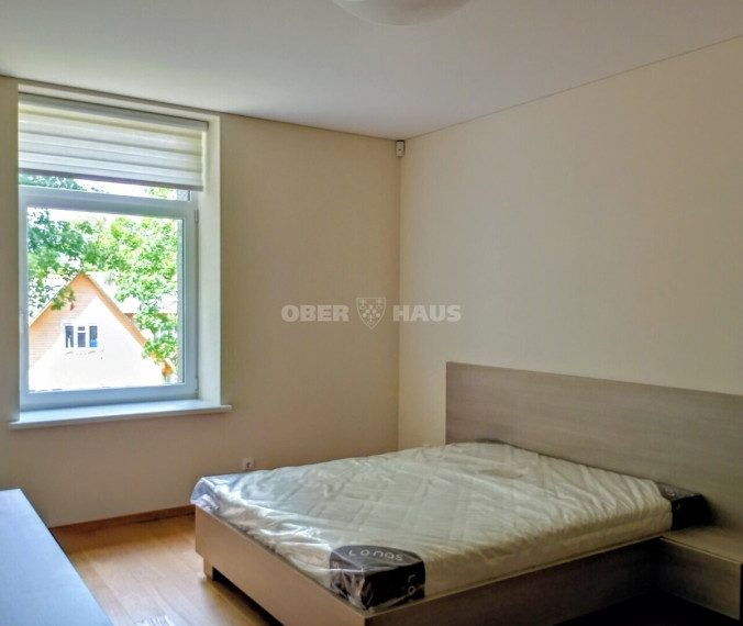 Parduodamos administracinės, gamybinės, kitos paskirties, maitinimo, sandėliavimo patalpos Ratnyčios g., Druskininkų m., Druskininkų sav., 435.7 m2 ploto 18