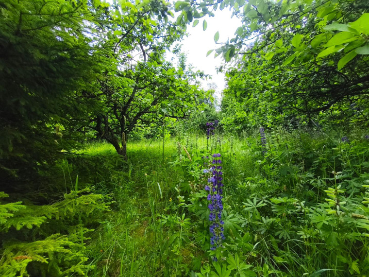 Parduodamas namas Ažvintaičio g., Švedriškės k., Ignalinos r. sav., 116 m² ploto 6 kambariai 17