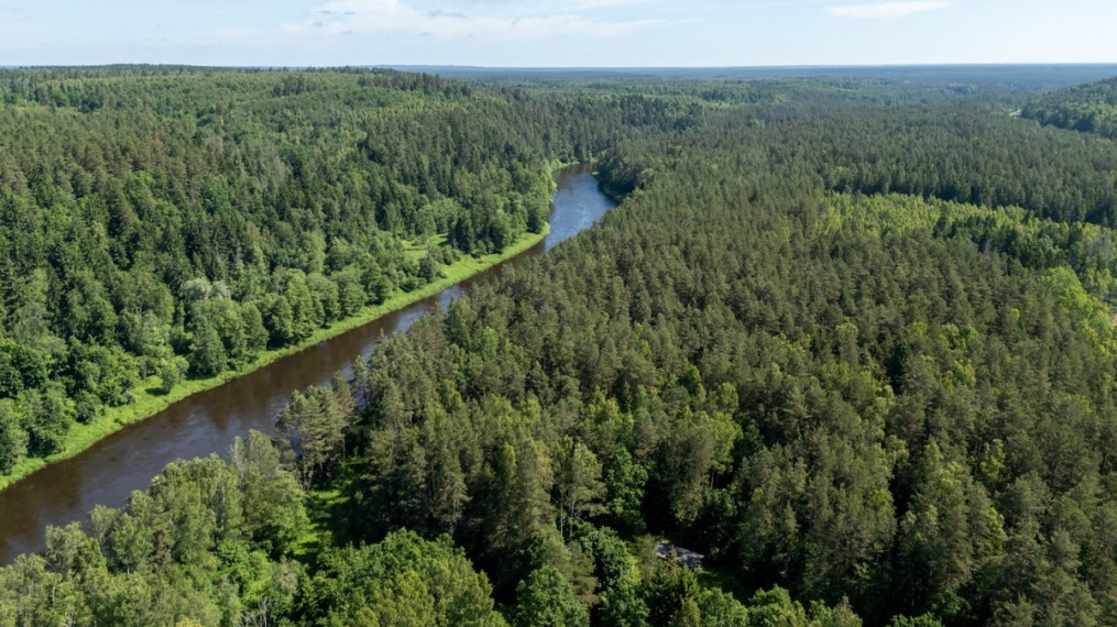 Parduodamas namas Skališkių k., Vilniaus r. sav., 58.06 m2 ploto, 1 aukštai 33