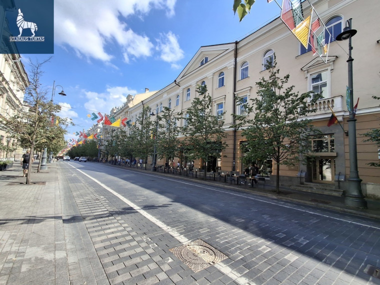 Nuomojamos administracinės patalpos Gedimino pr., Senamiestis, Vilniaus m., Vilniaus m. sav., 47.5 m2 ploto 7