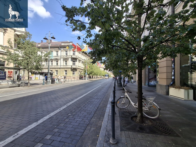 Nuomojamos administracinės patalpos Gedimino pr., Senamiestis, Vilniaus m., Vilniaus m. sav., 47.5 m2 ploto 8