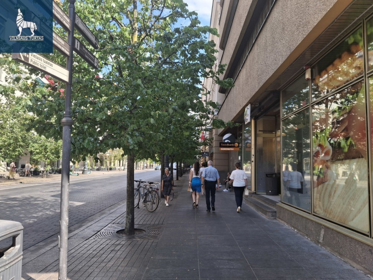Nuomojamos administracinės patalpos Gedimino pr., Senamiestis, Vilniaus m., Vilniaus m. sav., 47.5 m2 ploto 12