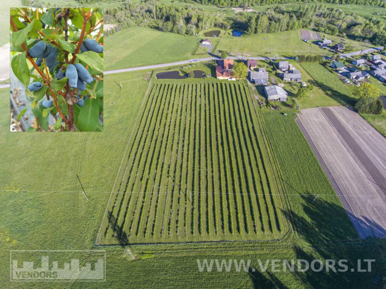 Parduodamas namas Jūros g., Žadvainų k., Rietavo sav., 251.91 m² ploto 4 kambariai 1