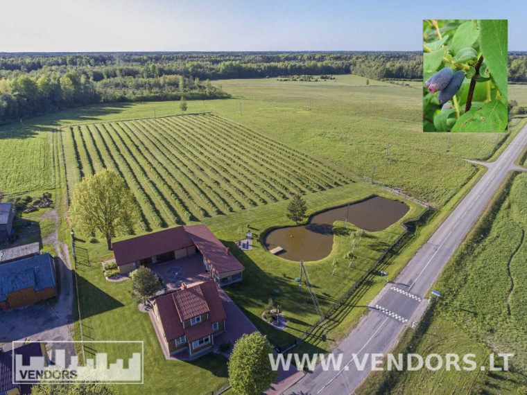 Parduodamas namas Jūros g., Žadvainų k., Rietavo sav., 251.91 m² ploto 4 kambariai 2