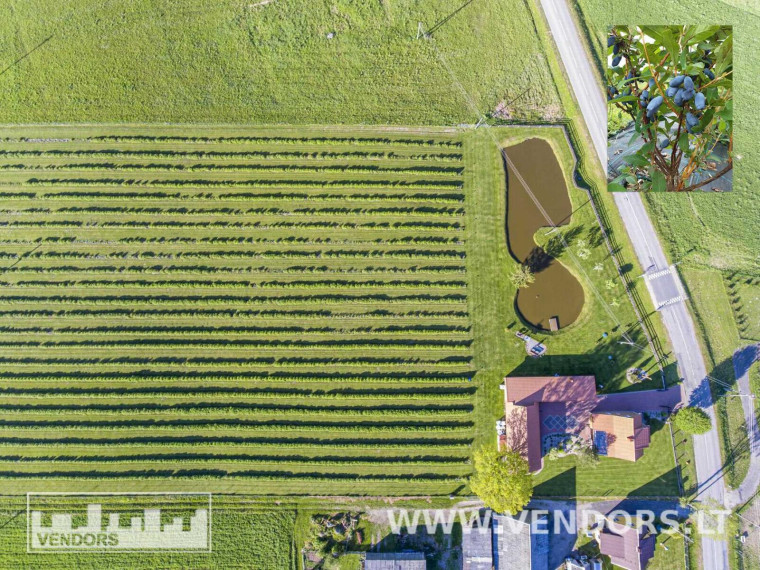 Parduodamas namas Jūros g., Žadvainų k., Rietavo sav., 251.91 m² ploto 4 kambariai 3