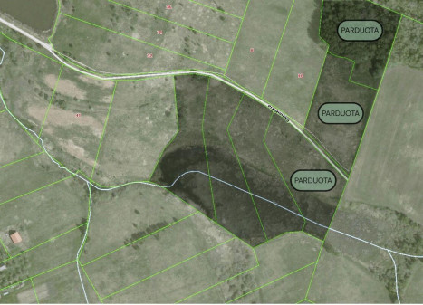 Parduodamas sklypas Kernavės mstl., Širvintų r. sav., 100.27 a ploto