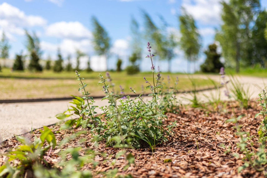 Parduodamas namas Ugniažolių g., Daržininkų k., Vilniaus r. sav., 117.37 m² ploto 4 kambariai 12