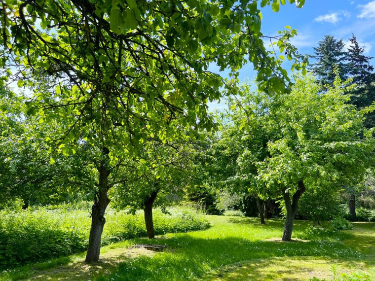 Parduodamas namas Valiulio Kalnelio g., Juodonių k., Rokiškio r. sav., 74.95 m² ploto 3 kambariai 22
