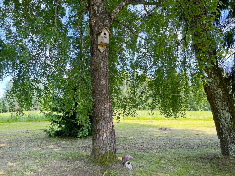 Parduodamas namas Valiulio Kalnelio g., Juodonių k., Rokiškio r. sav., 74.95 m² ploto 3 kambariai 24