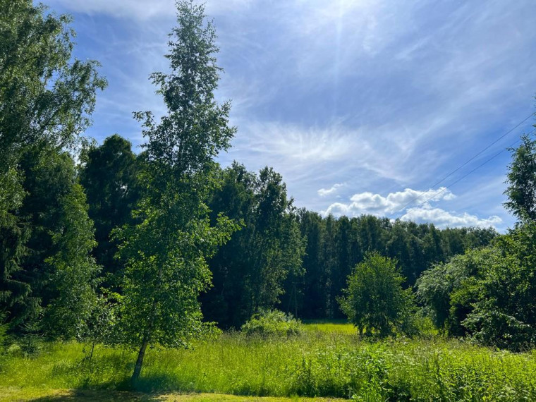 Parduodamas namas Valiulio Kalnelio g., Juodonių k., Rokiškio r. sav., 74.95 m² ploto 3 kambariai 25